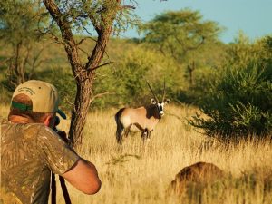Охота на антилопу фото